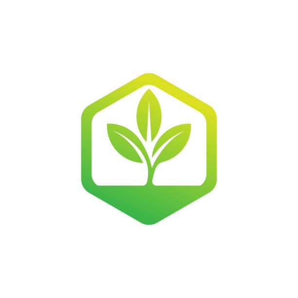 ASSISTANCE EN ENVIRONNEMENT